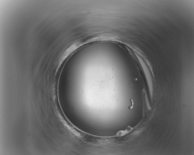 X0000077360997200610271849