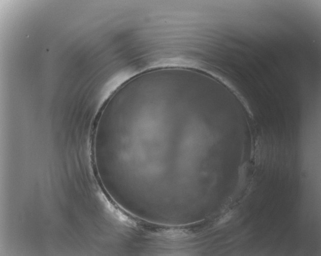 X0000077360998200610271849