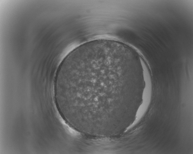 X0000077360999200610271849