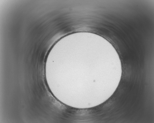 X0000077361000200610271849