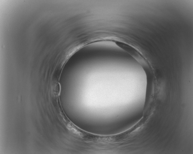 X0000077361001200610271849