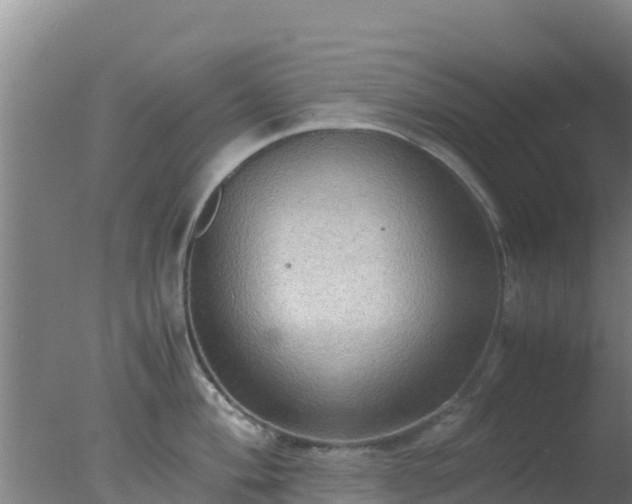 X0000077361004200610271849