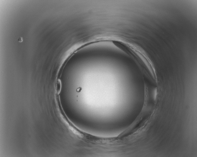 X0000077361005200610271849