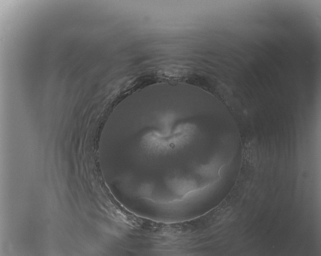 X0000077361009200610271848