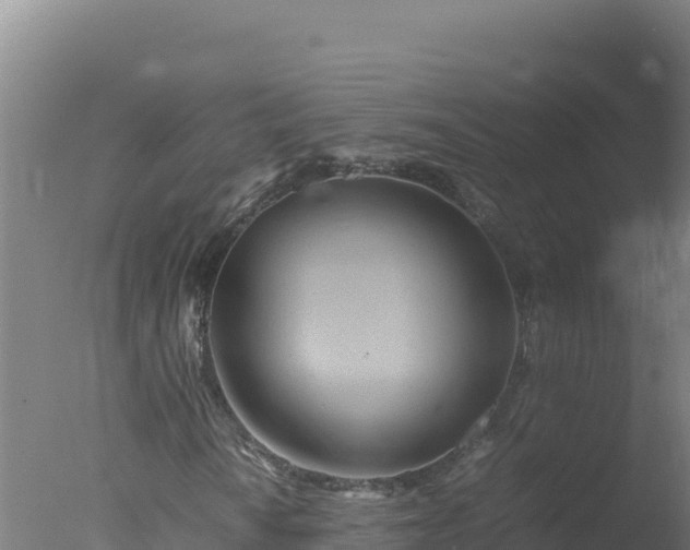 X0000077361010200610271848