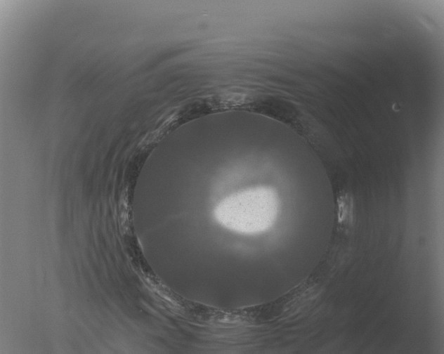 X0000077361011200610271848