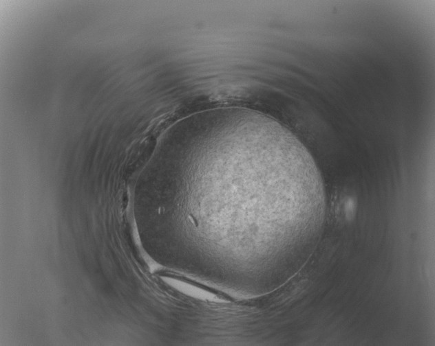 X0000077361012200610271848