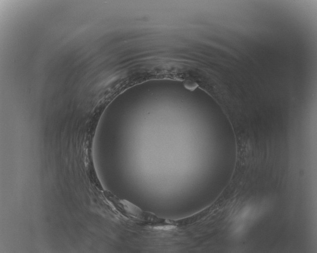 X0000077361013200610271848