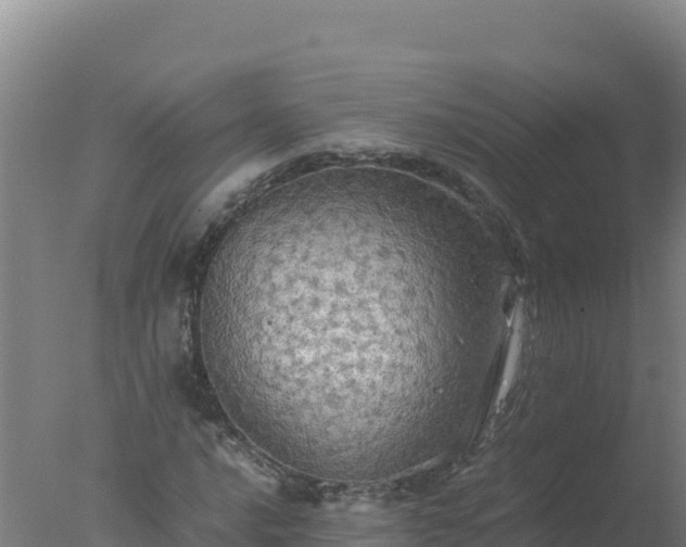 X0000077361016200610271848