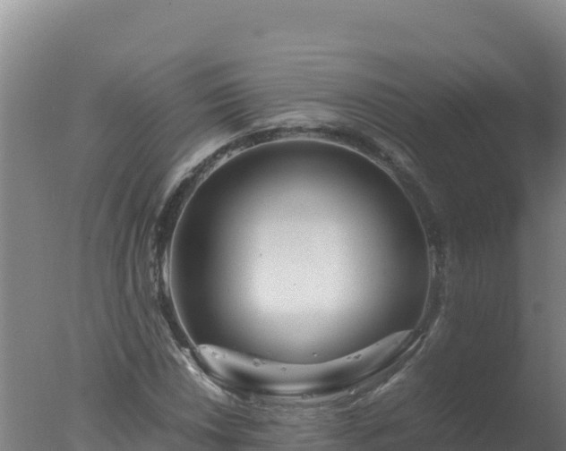 X0000077361018200610271848