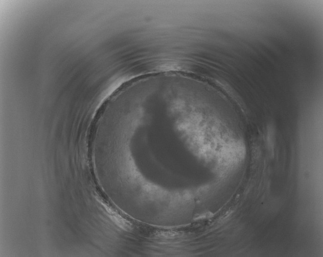 X0000077361023200610271849