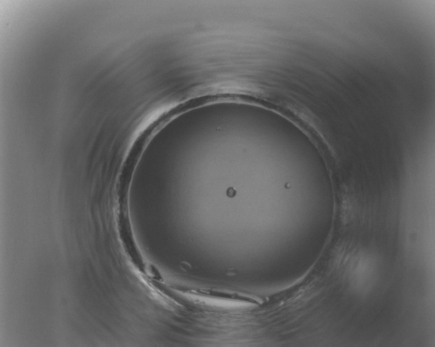 X0000077361024200610271849