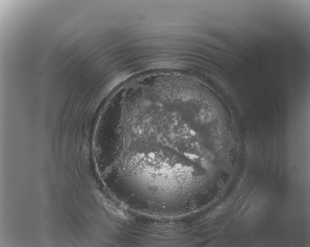 X0000077361025200610271849