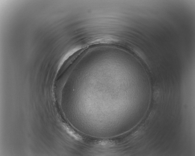 X0000077361026200610271849