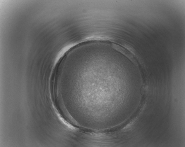 X0000077361030200610271849