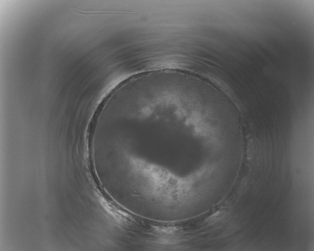 X0000077361031200610271849