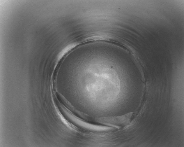 X0000077361034200610271849