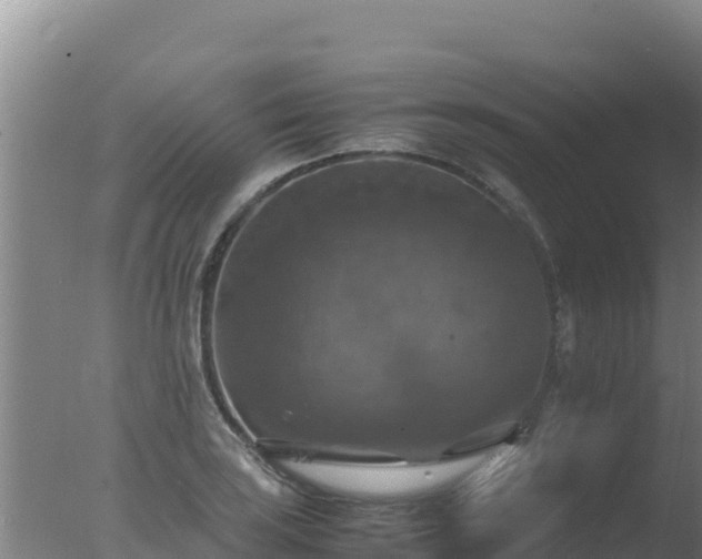 X0000077361035200610271849