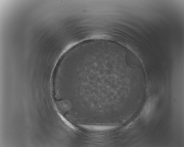 X0000077361037200610271849