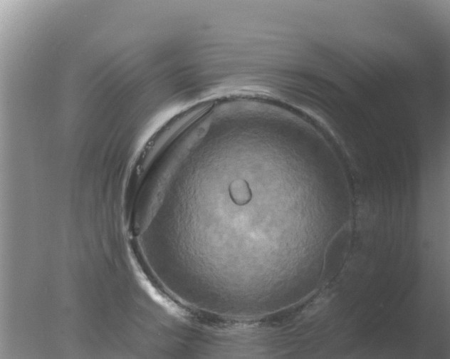 X0000077361038200610271849