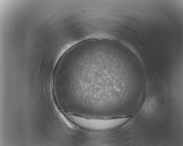 X0000077361040200610271849