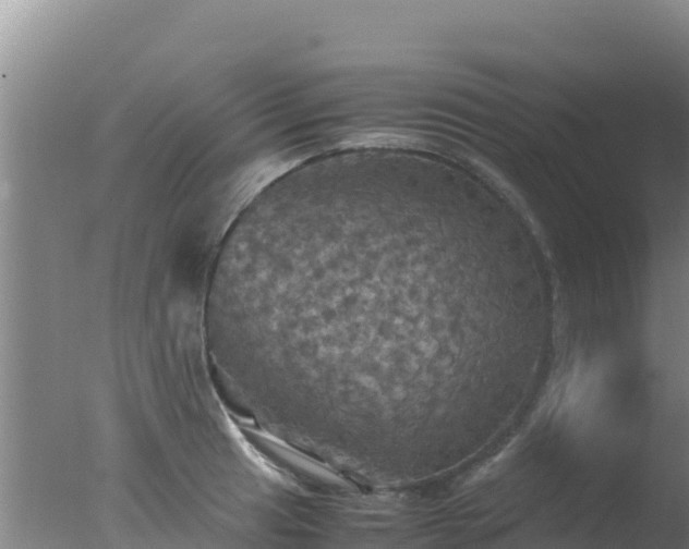 X0000077361041200610271849