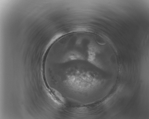 X0000077361043200610271849