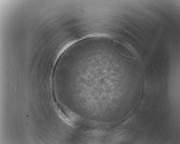 X0000077361044200610271849