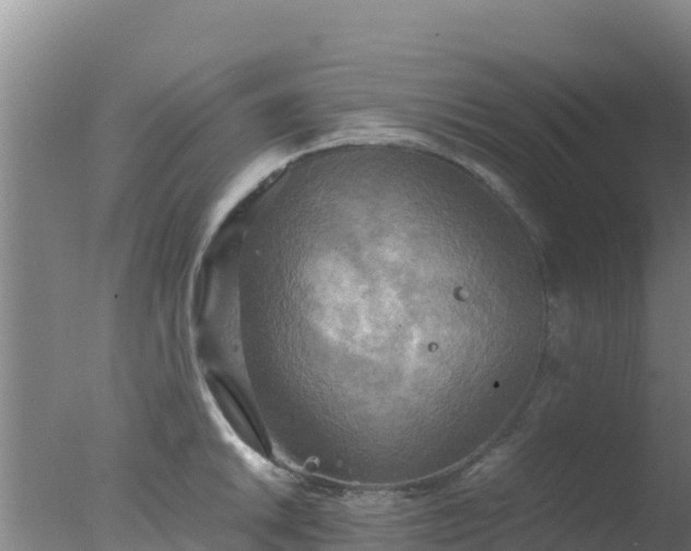 X0000077361046200610271849