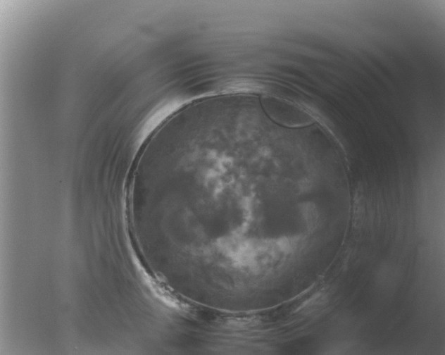 X0000077361047200610271849