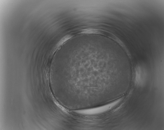 X0000077361049200610271849