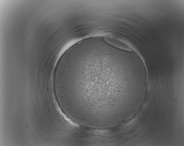 X0000077361053200610271849