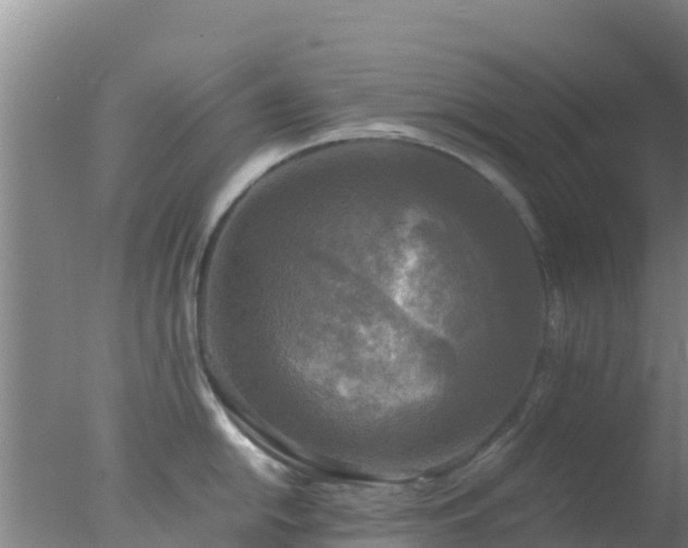 X0000077361054200610271849