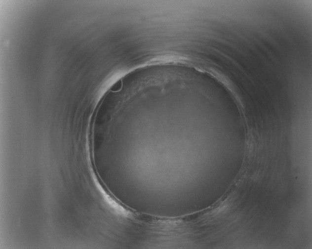 X0000077361055200610271849