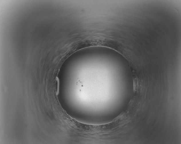 X0000077361057200610271848