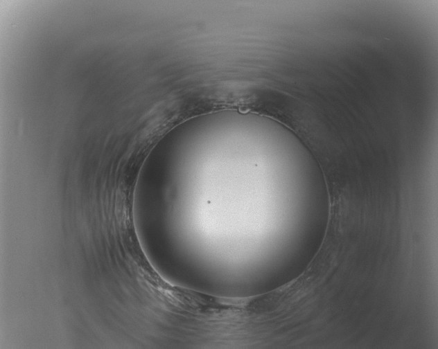 X0000077361058200610271848