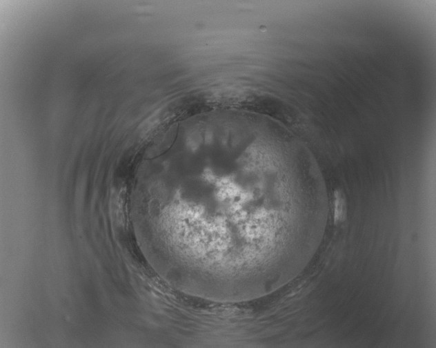 X0000077361059200610271848