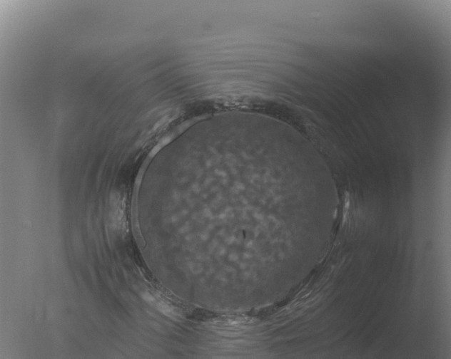 X0000077361060200610271848