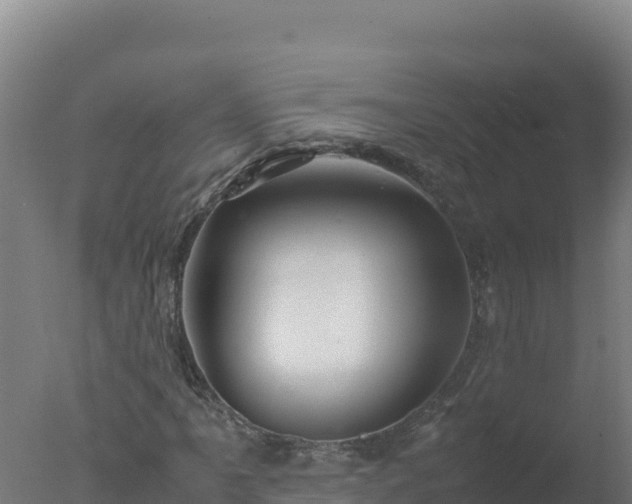 X0000077361061200610271848