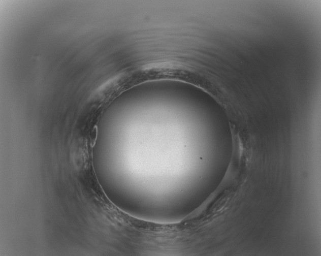 X0000077361062200610271848