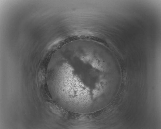 X0000077361063200610271848