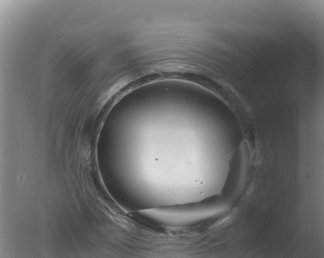 X0000077361065200610271848