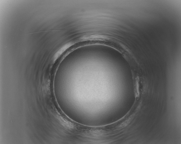 X0000077361066200610271848