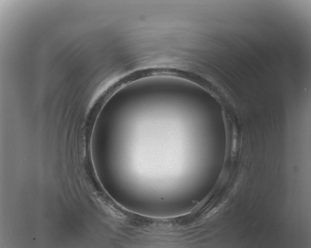 X0000077361069200610271848