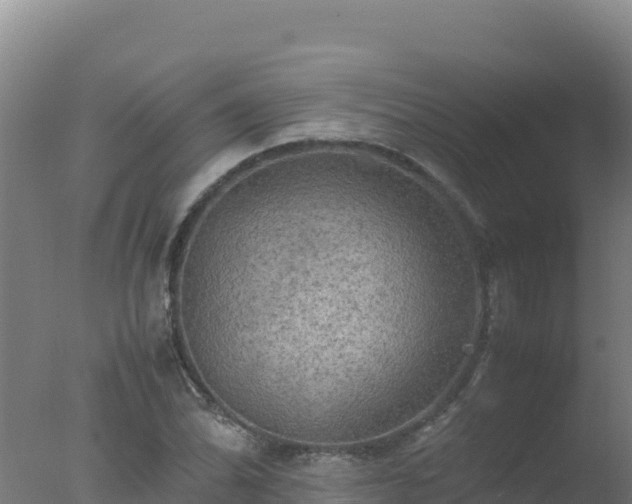 X0000077361070200610271848