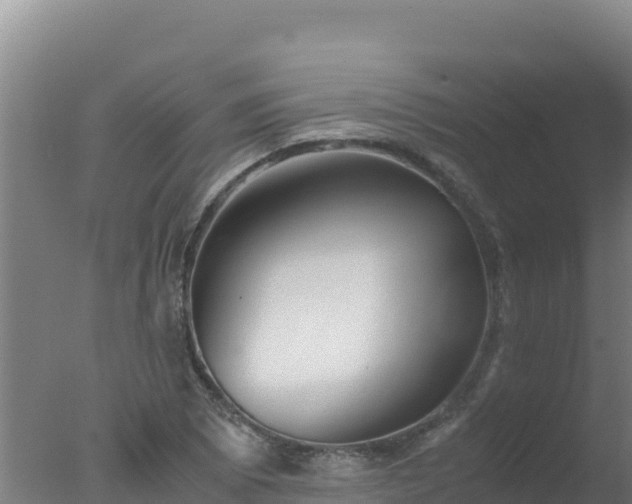 X0000077361073200610271848