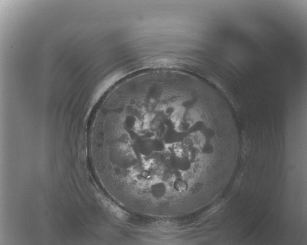 X0000077361075200610271848