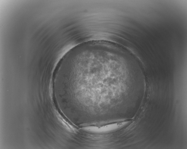 X0000077361076200610271848