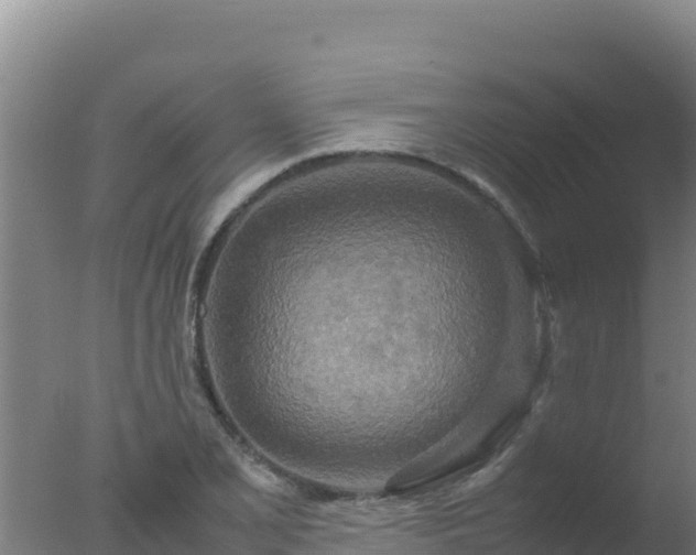 X0000077361077200610271848