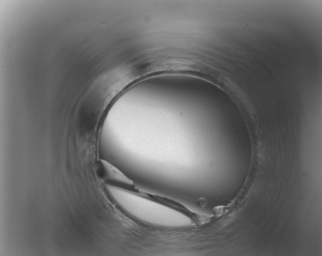 X0000077361081200610271848